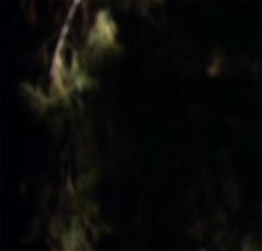 Ohne Titel #101a (SYNW) Cibachrome von Josh Azzarella, 2009