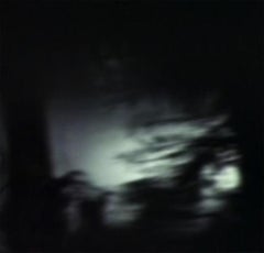 Sin título nº 101b (SYNW) Cibachrome de Josh Azzarella, 2009