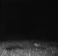Ohne Titel #78 (AlbGA62-3k) Fotografie von Josh Azzarella, 2009