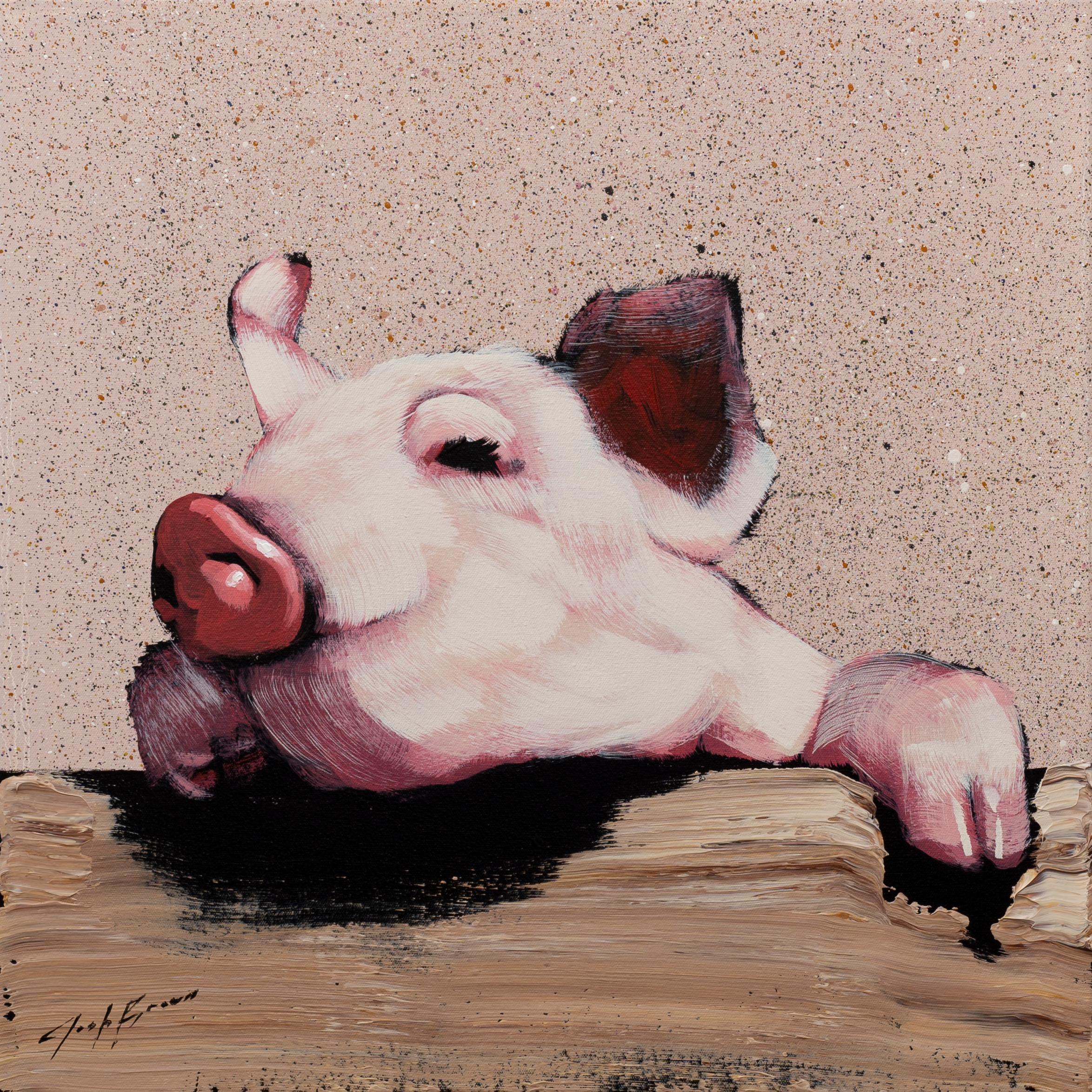 Lächelndes Schwein am Zaun