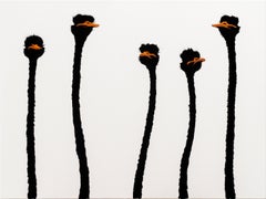 5 Orange Ostriches on White 2
