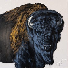 American Bison