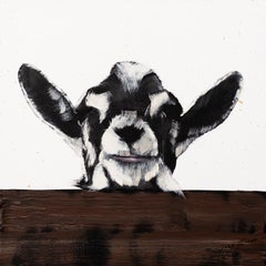 Black and White Goat On Fence