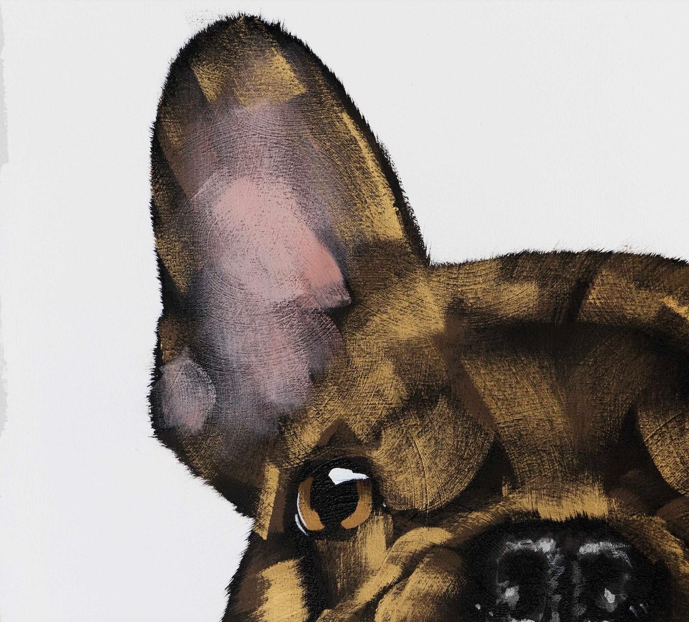 Gold Frenchie auf Weiß – Painting von Josh Brown