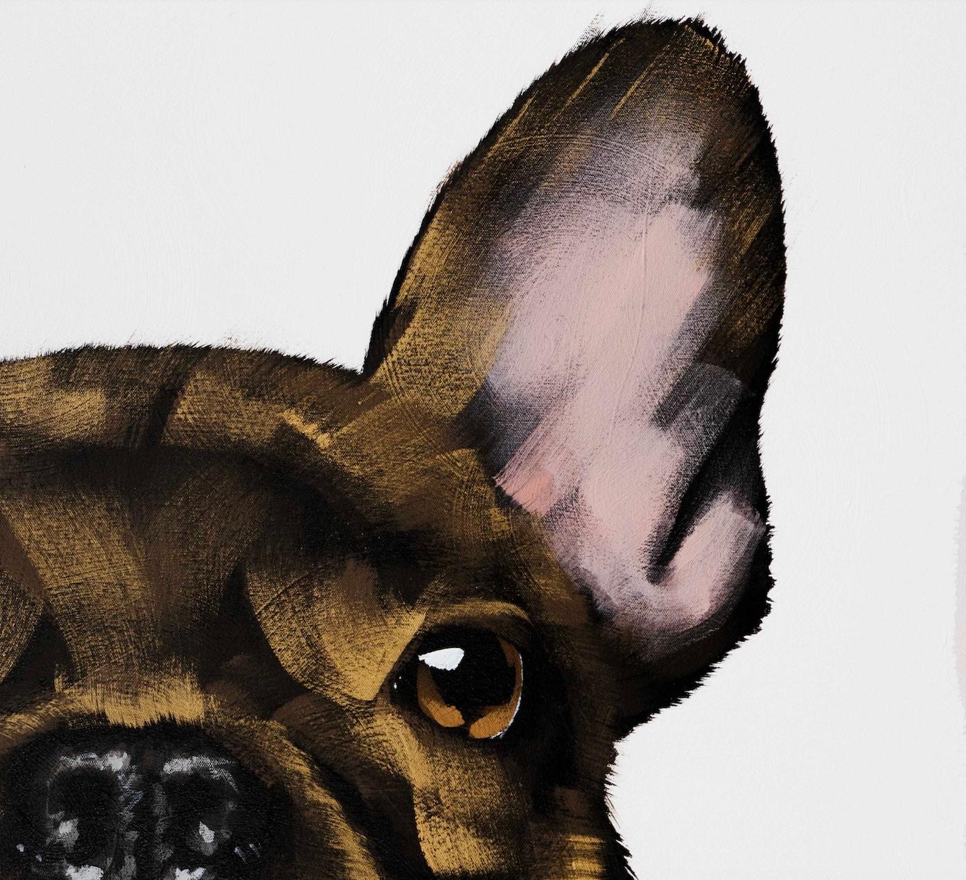 Gold Frenchie auf Weiß (Zeitgenössisch), Painting, von Josh Brown