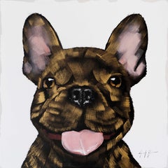 Frenchie oro su Whiting