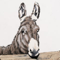 Grey Donkey on Fence