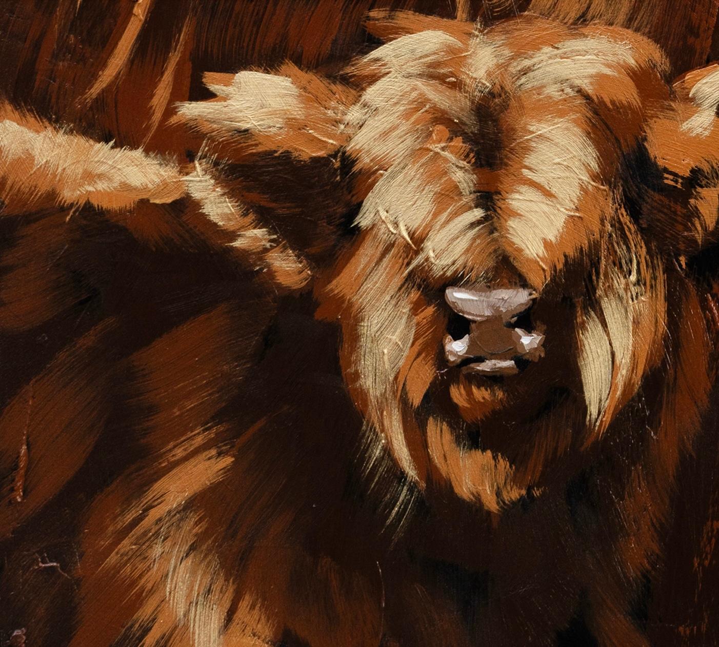 Highland Cow and Calf 3