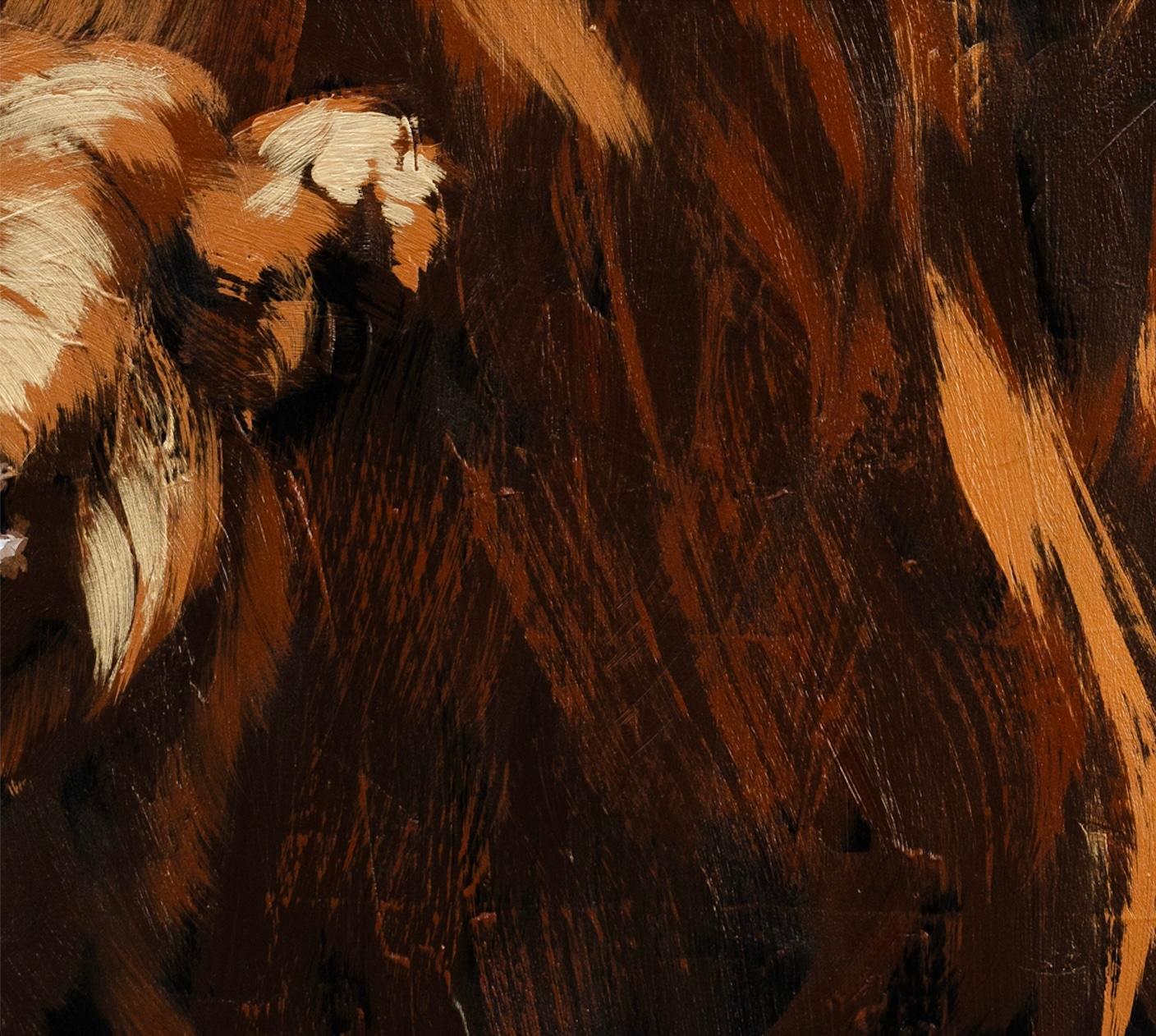 Highland Cow and Calf 4