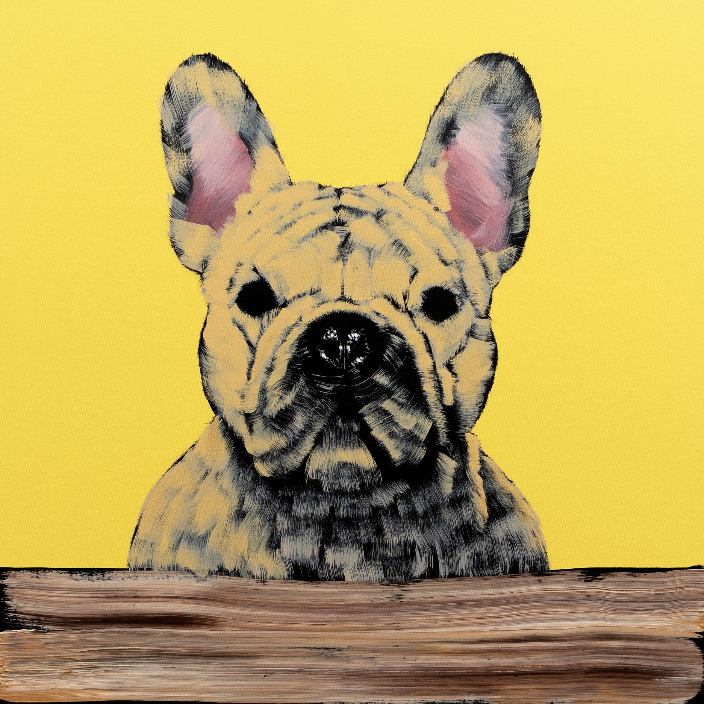 Tan Frenchie on Yellow - Painting by Josh Brown