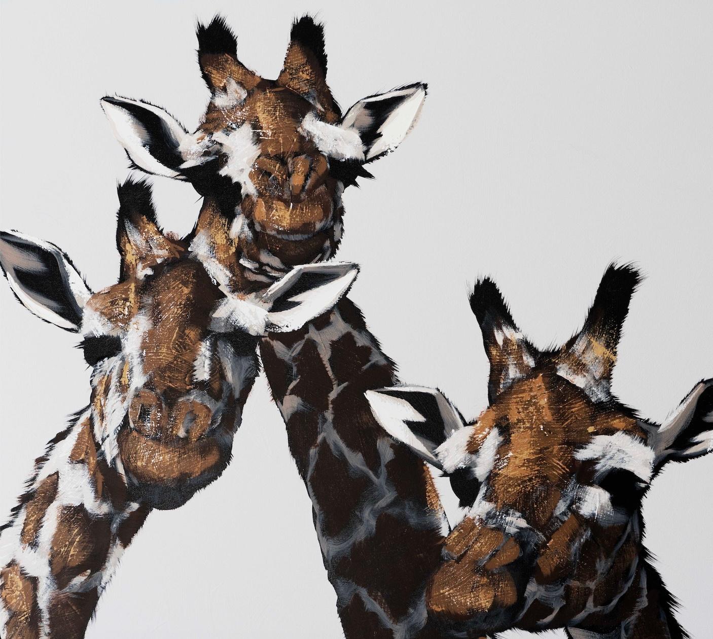 Three Giraffe on White For Sale 1