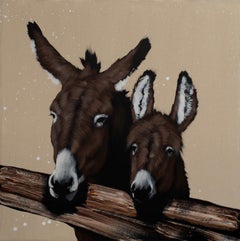 Two Donkey behind a Fence