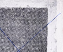 observation Obfuscation x