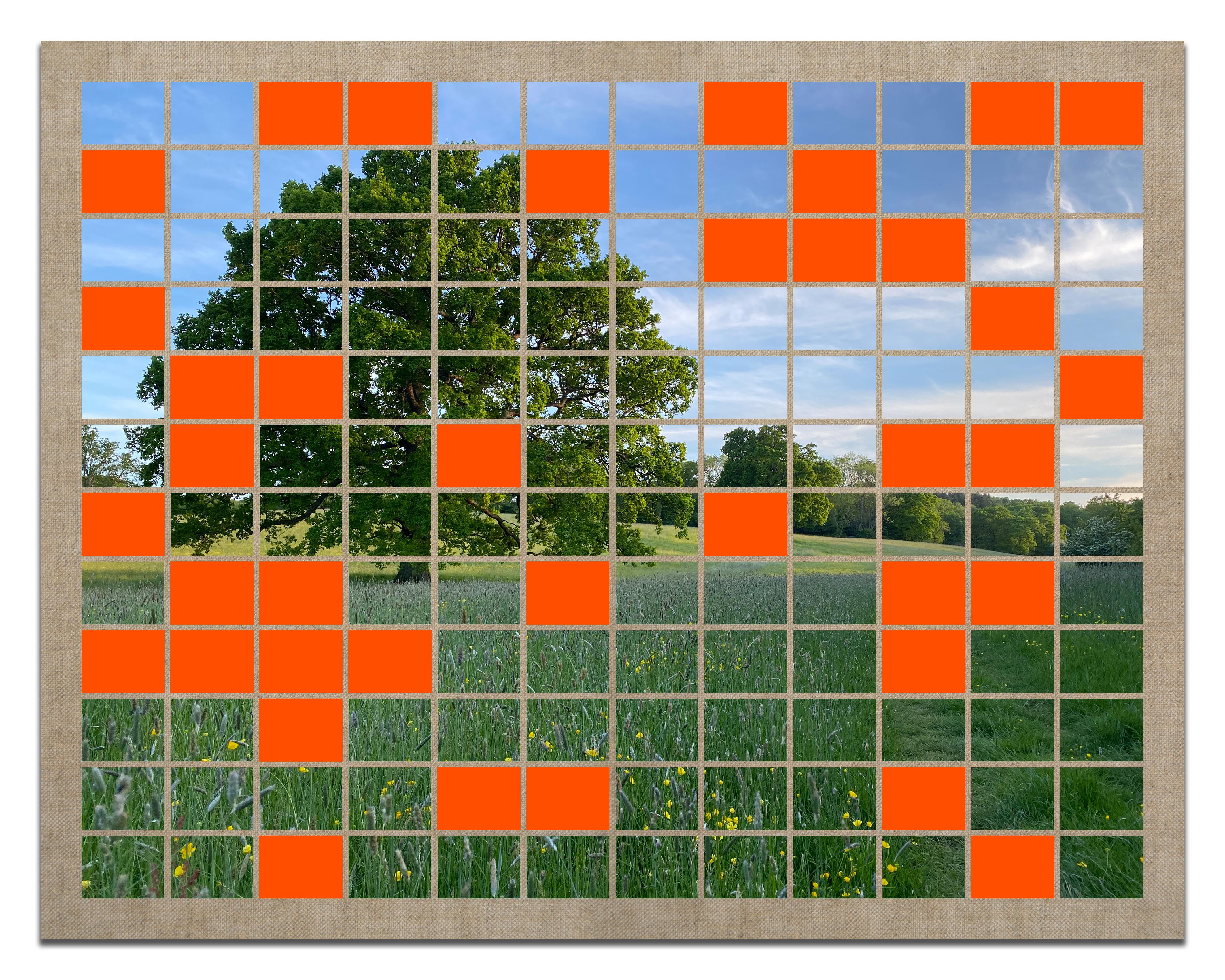 Josh Rowell Landscape Print – Brokes Mill Farm, 02.06.23, 144 Min.