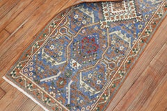Joshegan Persian Small Narrow 20th Century Runner