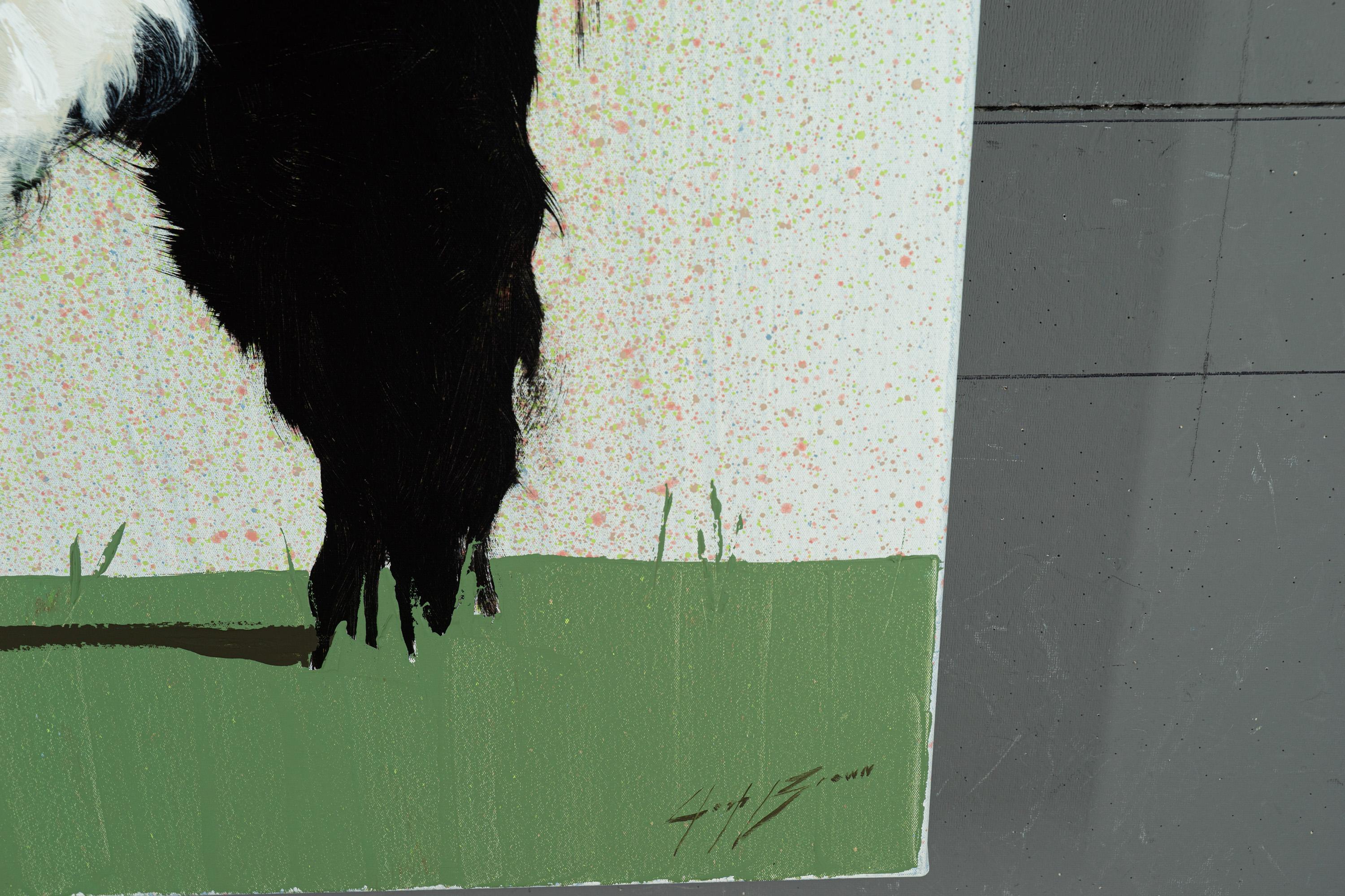 belted galloway painting