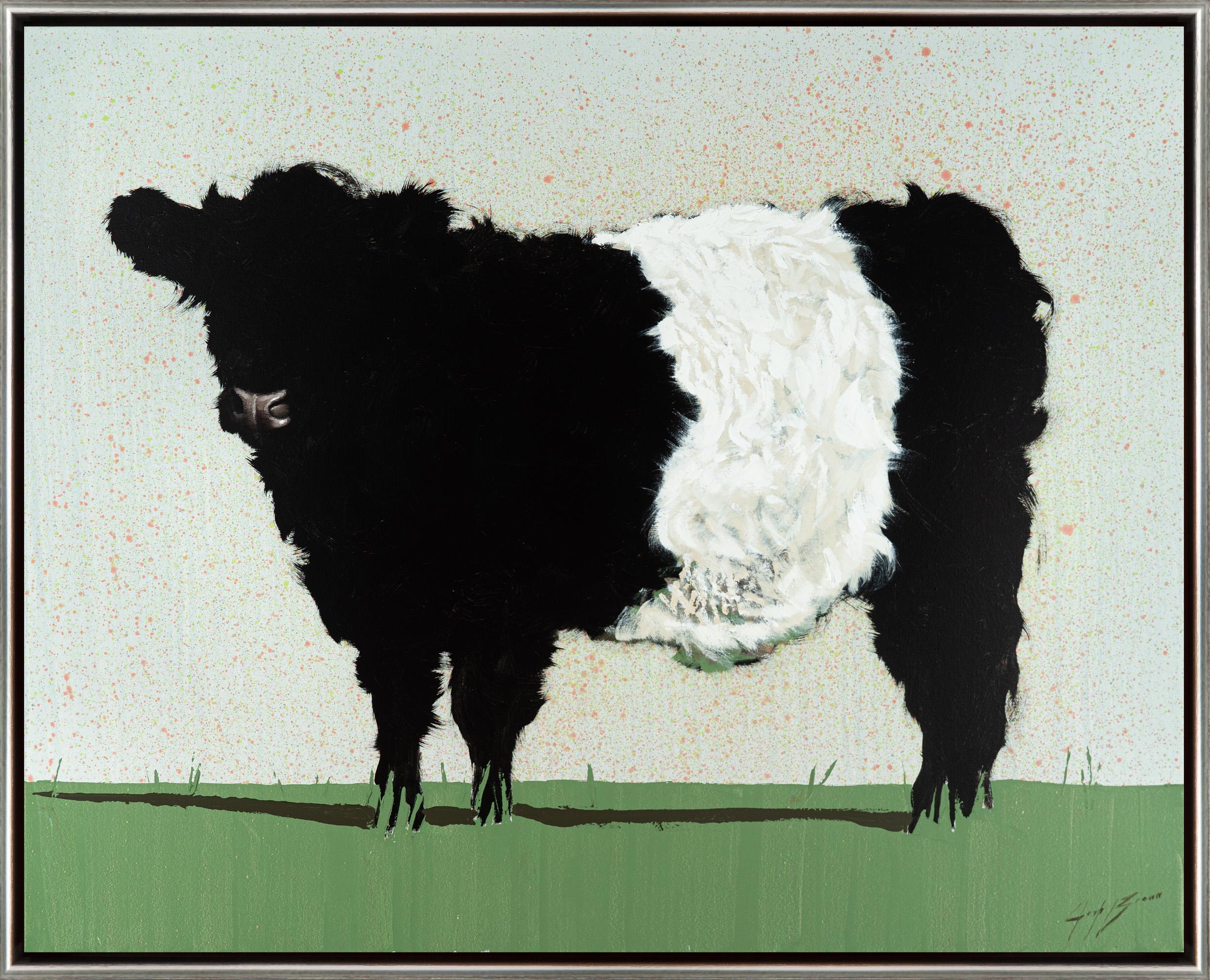 Joshua Brown Animal Painting - "Belted Galloway" Painterly Cow Portrait with Great Texture and Personality