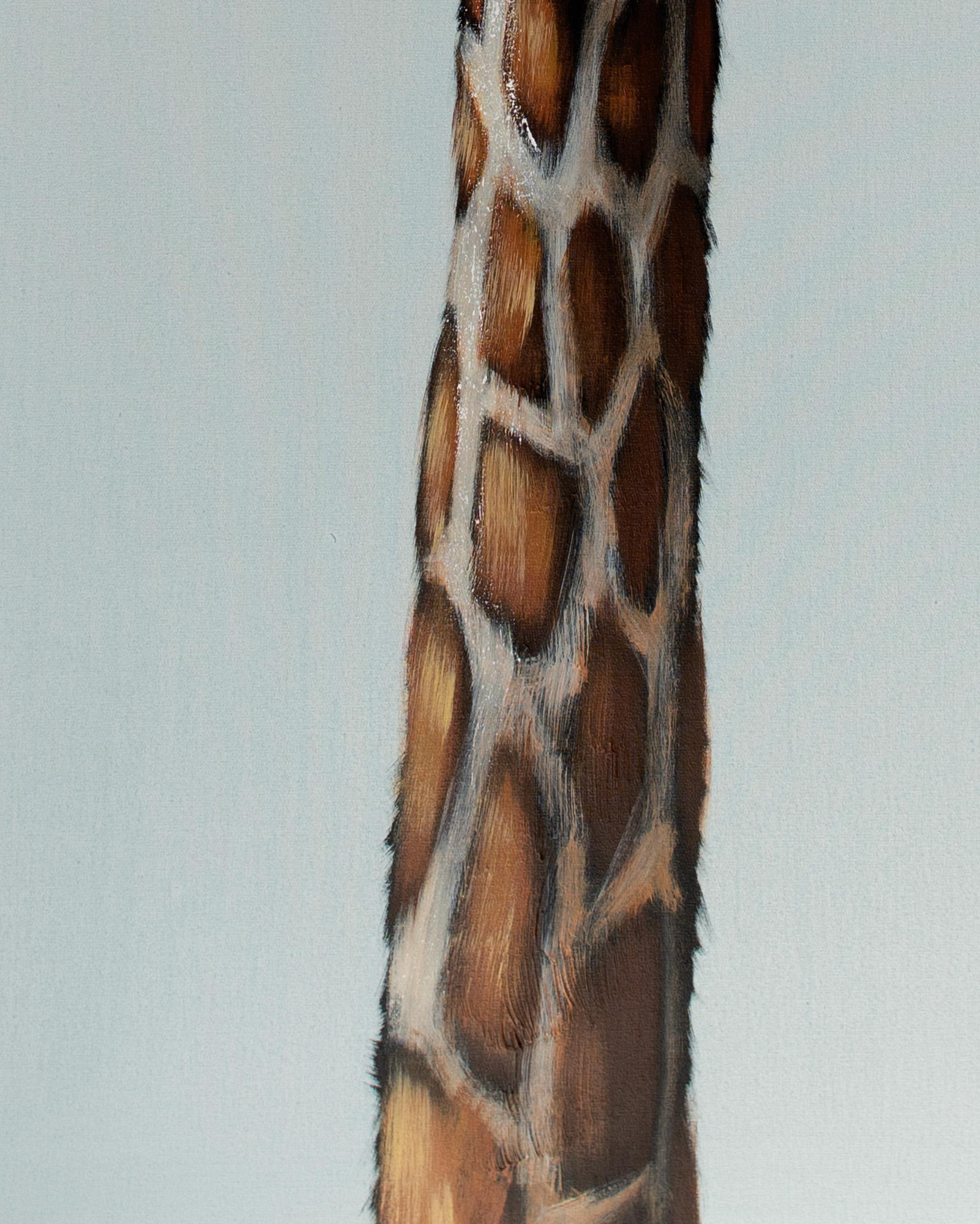 realistic giraffe drawing