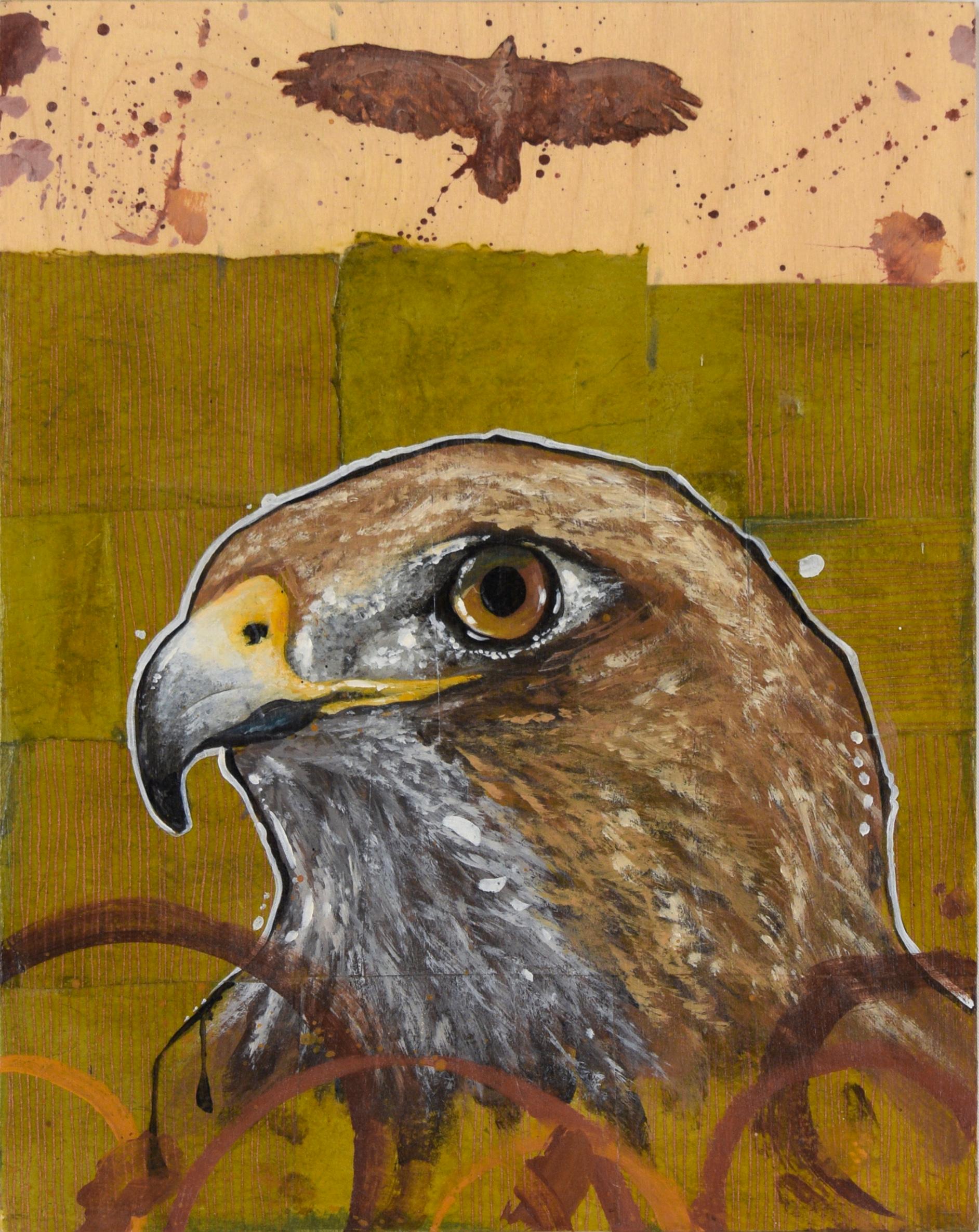 Animal Painting de Joshua Coffy - "Ciudadanos de Glen Canyon - Halcón de cola roja" en acrílico sobre panel de madera acunada
