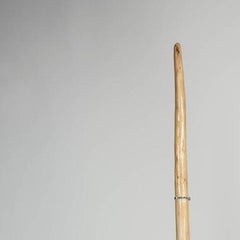 Adolescent Unicorn T-Rex Skull with 'No Fear' Bedazzlement