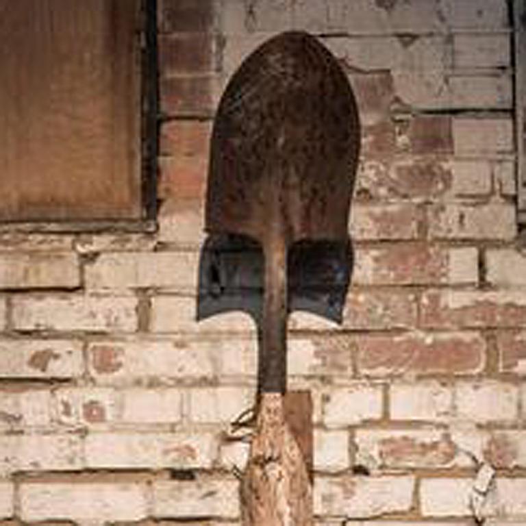 Dinosaur Bone Fertility Shovel - Sculpture by Joshua Goode