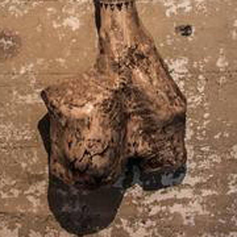 Dinosaur Bone Fertility Shovel - Black Still-Life Sculpture by Joshua Goode