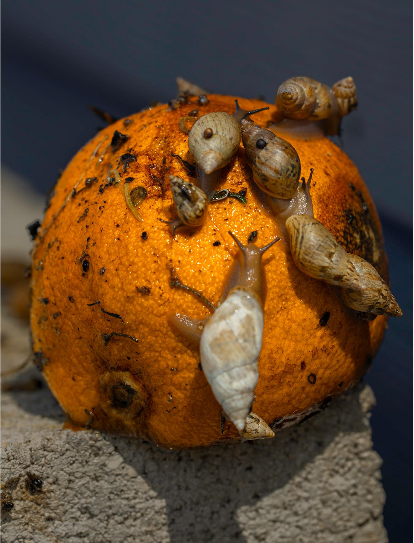 Blau-orange, Farbfotografie von Joshua Lutz im Angebot 1