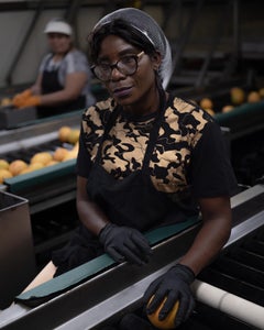 Carmen, OBT Plant, color photograph by Joshua Lutz