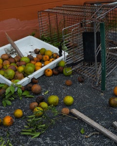 Spilled Cart, color photograph by Joshua Lutz