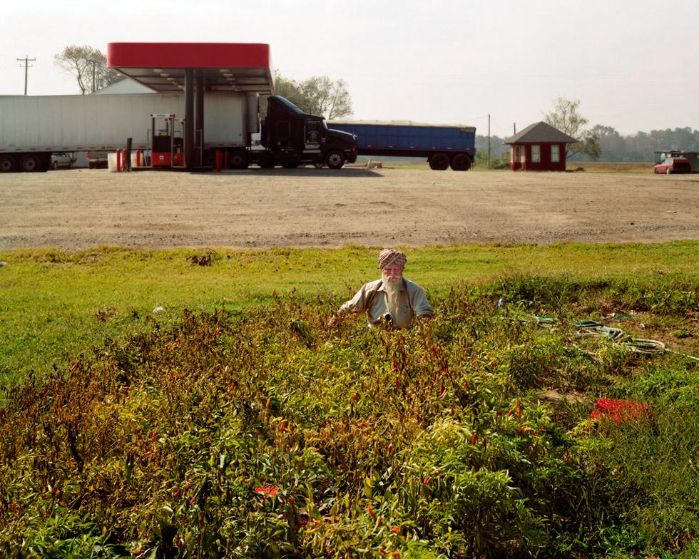 Joshua Lutz Color Photograph – Ohne Titel (Kupfer)