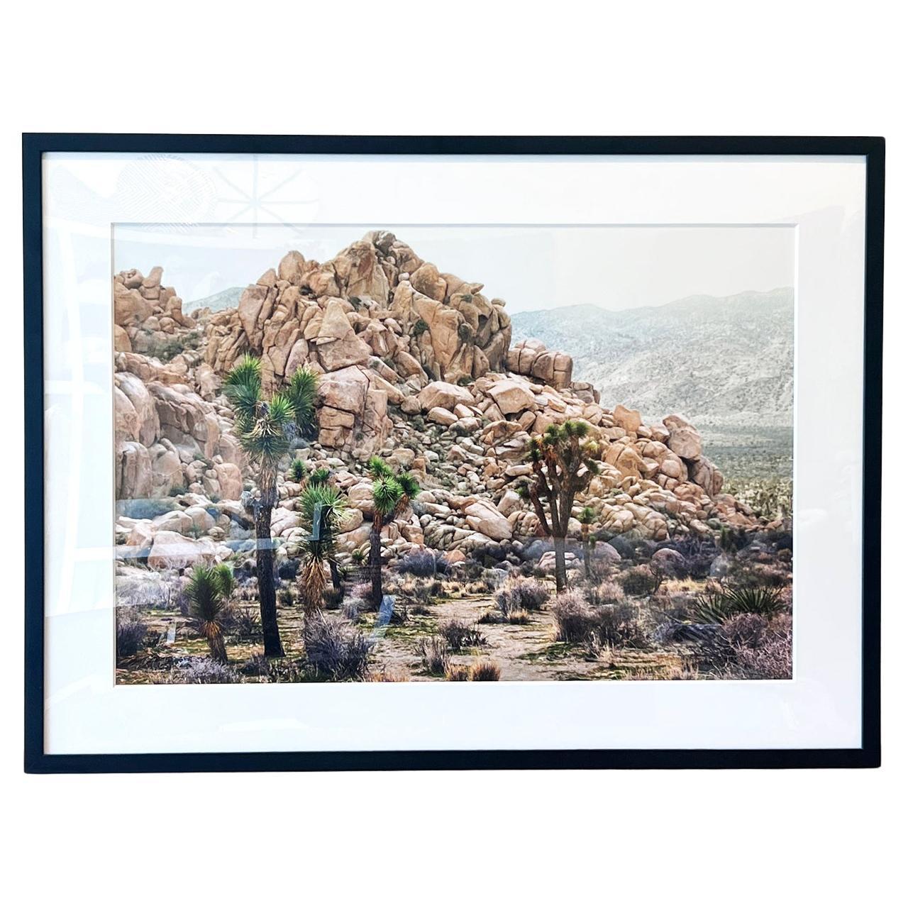Photographie couleur encadrée Joshua Tree National Park 20"x30" de paysage désert, 2020 en vente