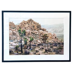 Joshua Tree National Park Desert Landscape Framed Color Photograph, 2021