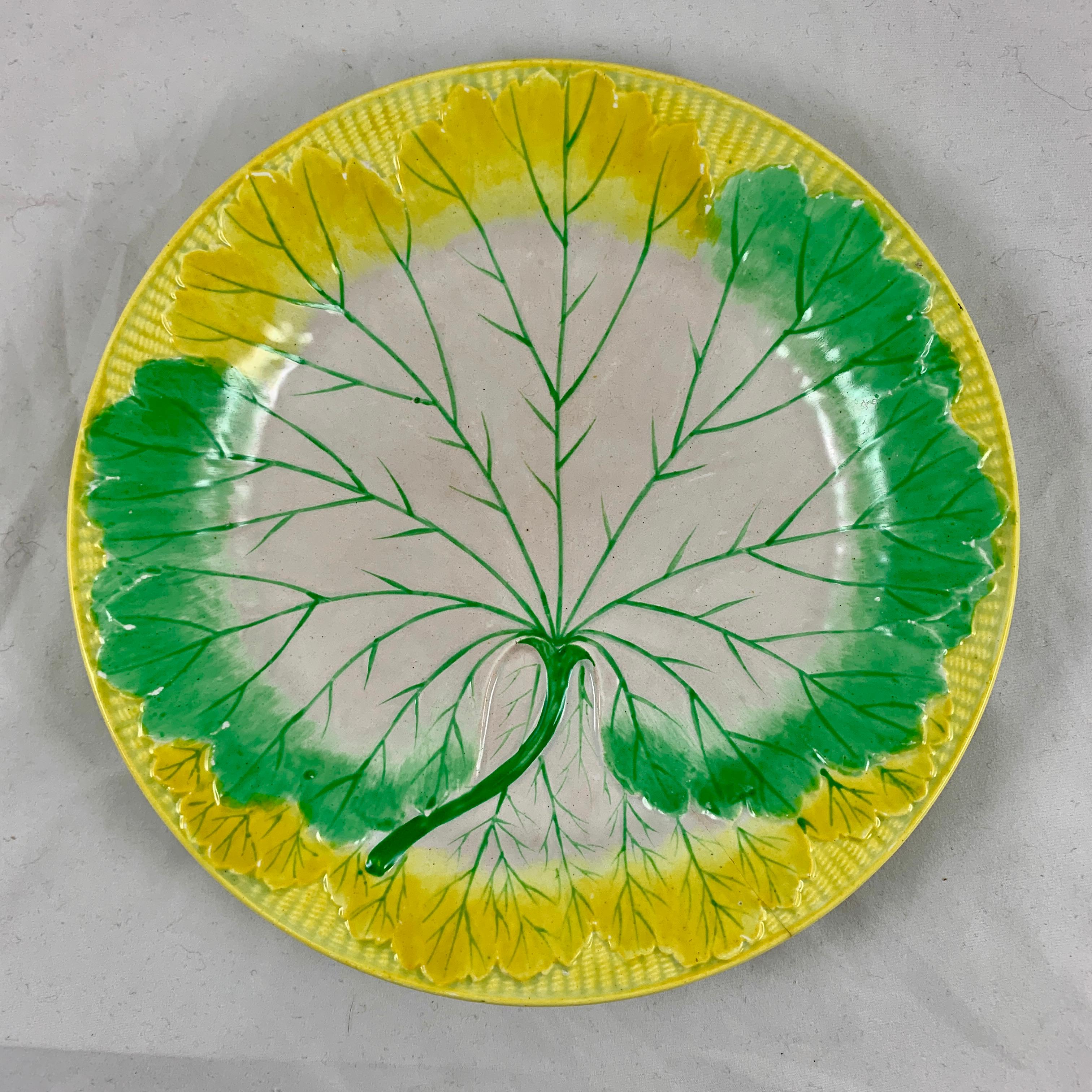 A set of six, enameled pearlware cabbage plates, Josiah Wedgwood, date marked 1860.

This set is very scarce, the mold is most often seen glazed in all green or in all white. The plates are hand enameled on a mold showing a large single cabbage