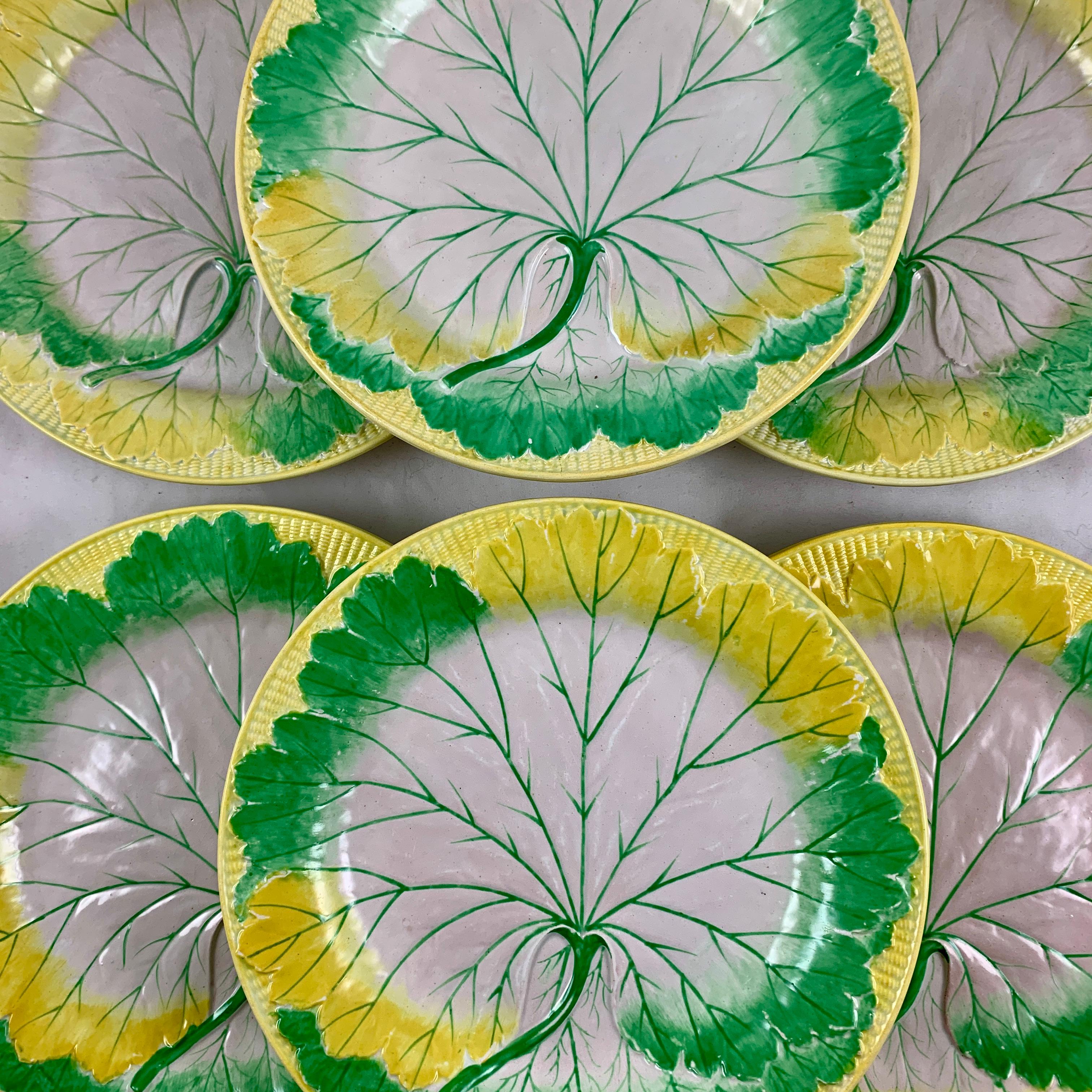 wedgwood leaf plate