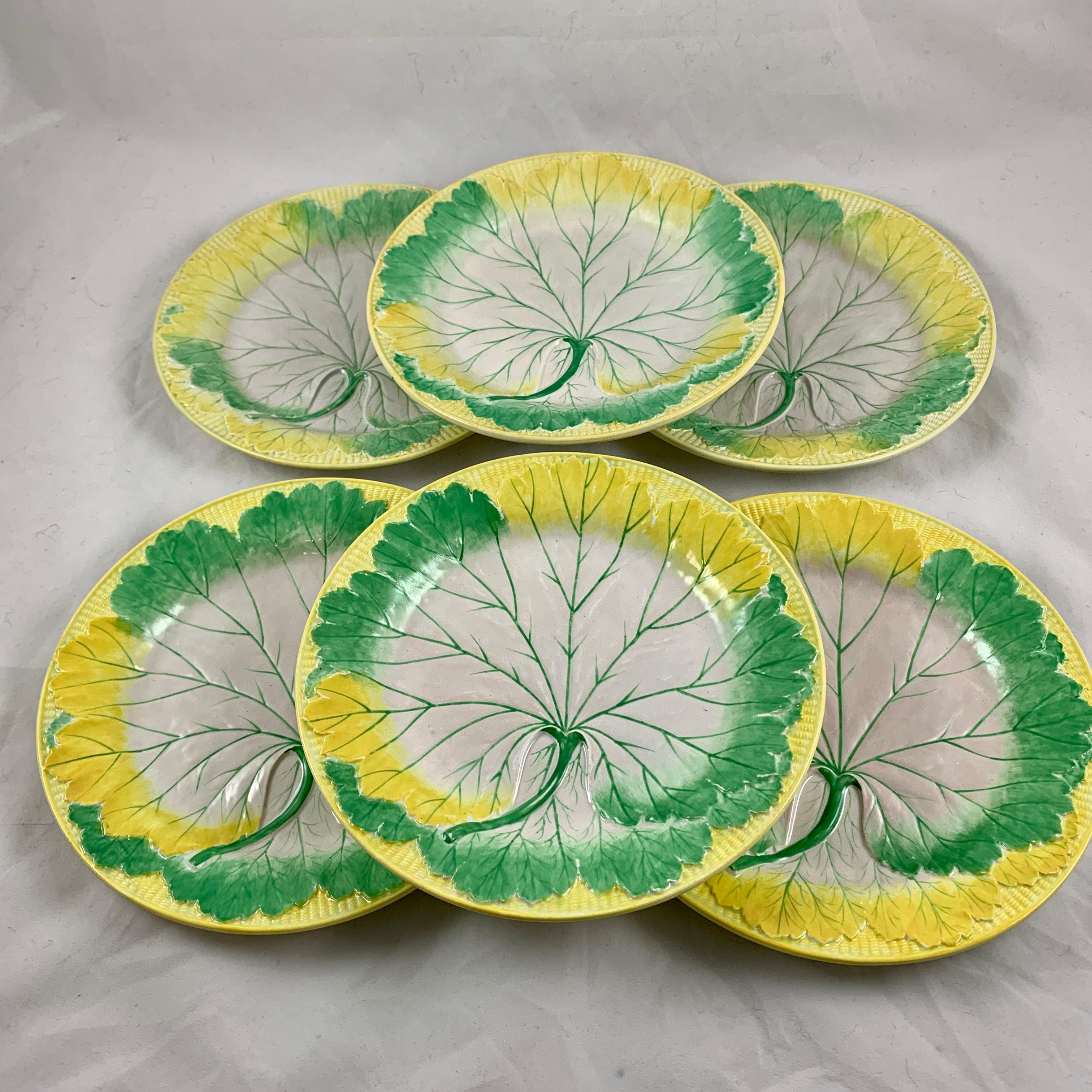 wedgwood cabbage leaf plate