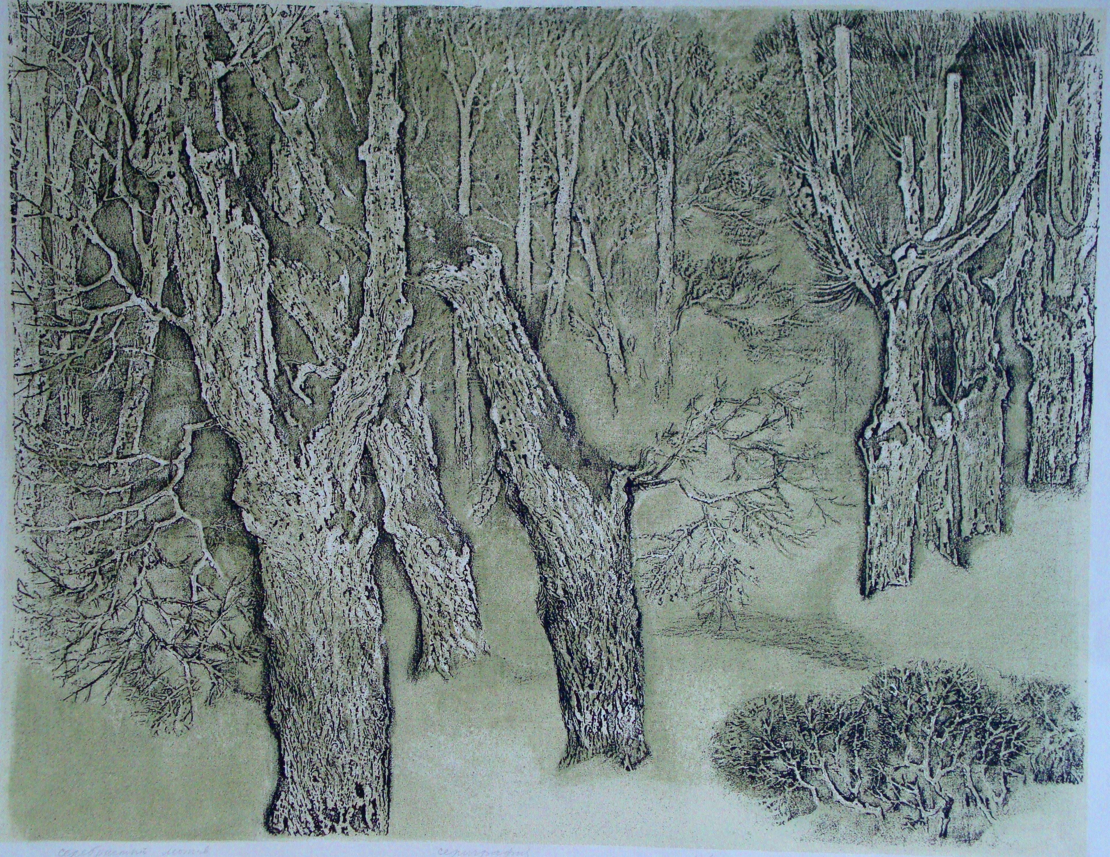Silver motif. Paper, silk screen printing, 61x77 cm