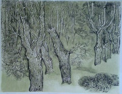 Silver motif. Paper, silk screen printing, 61x77 cm
