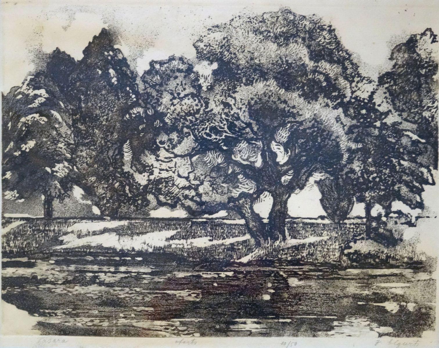 Verano. Papel, aguafuerte, 10/50, 31x41 cm