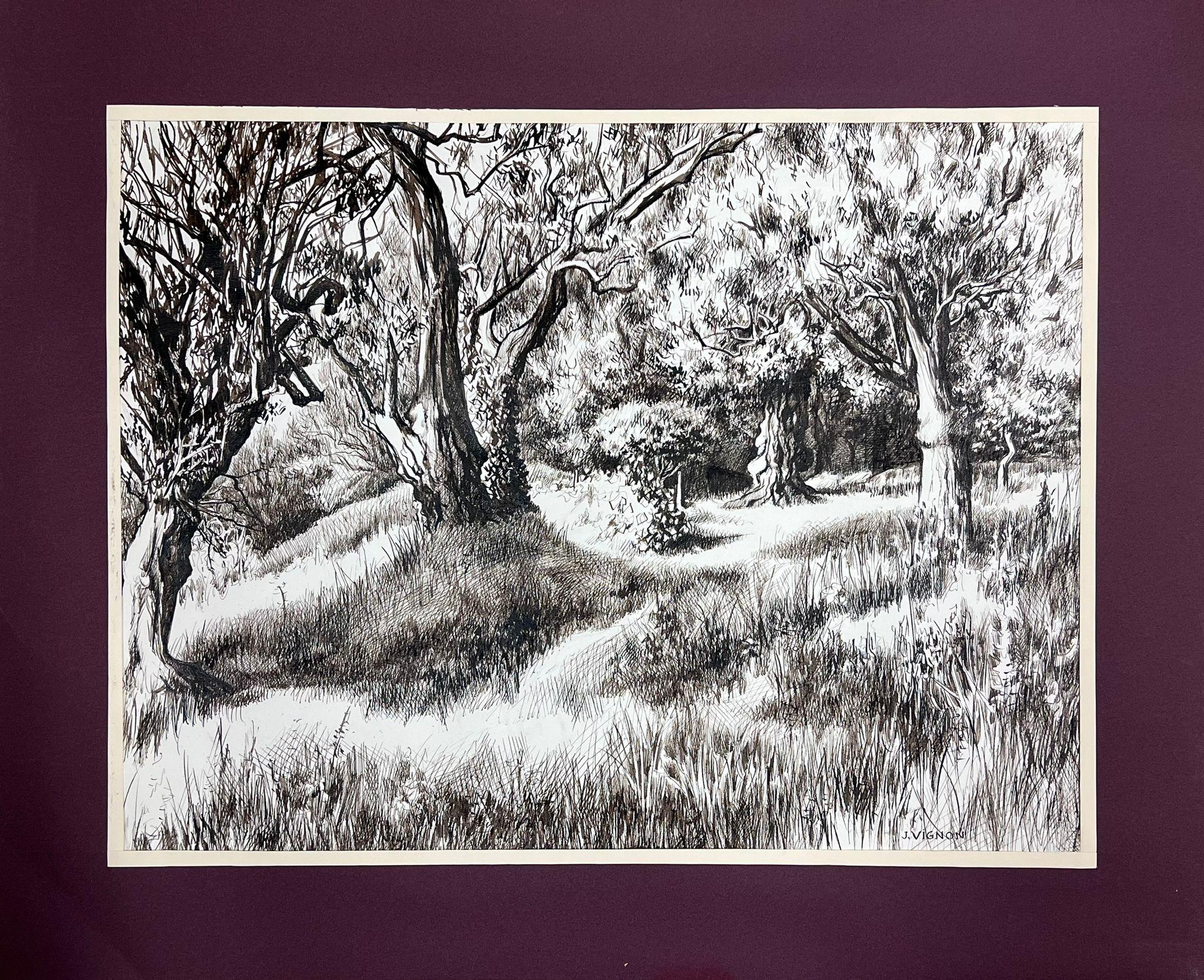 1950s Black & White Ink Drawing Olive Tree Renoirs Garden Cagnes Sur Mer - Painting de Josine Vignon
