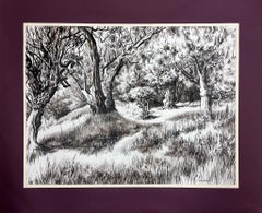 Schwarz-Weiß-Tinte-Zeichnung Olivenbaum Renoirs Garten Cagnes Sur Mer, 1950er Jahre