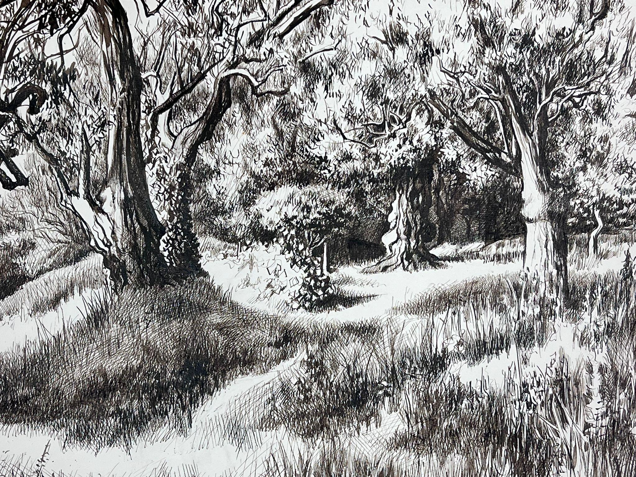 1950s Black & White Ink Drawing Olive Tree Renoirs Garden Cagnes Sur Mer - Impressionnisme Painting par Josine Vignon