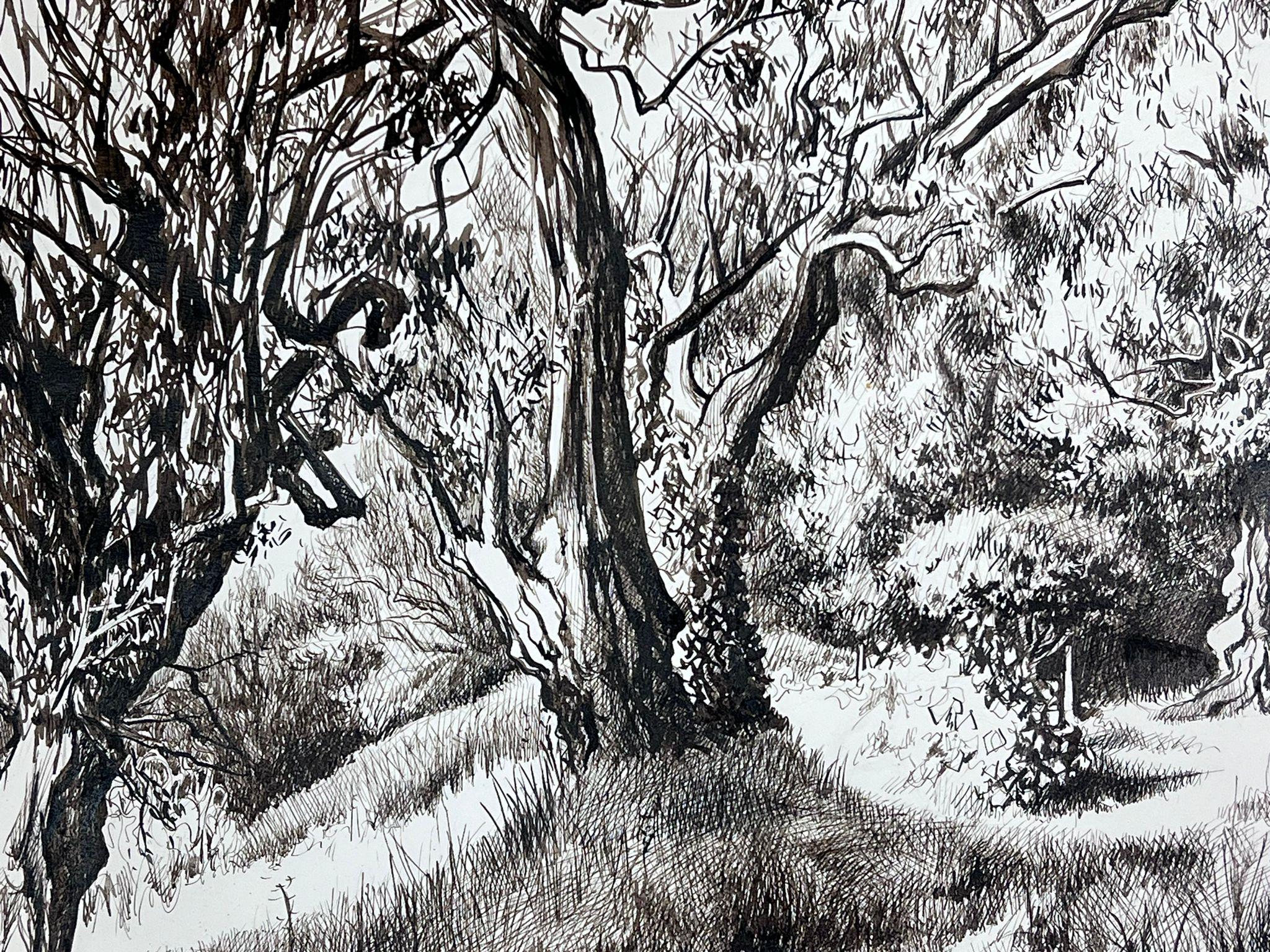 1950s Black & White Ink Drawing Olive Tree Renoirs Garden Cagnes Sur Mer en vente 1