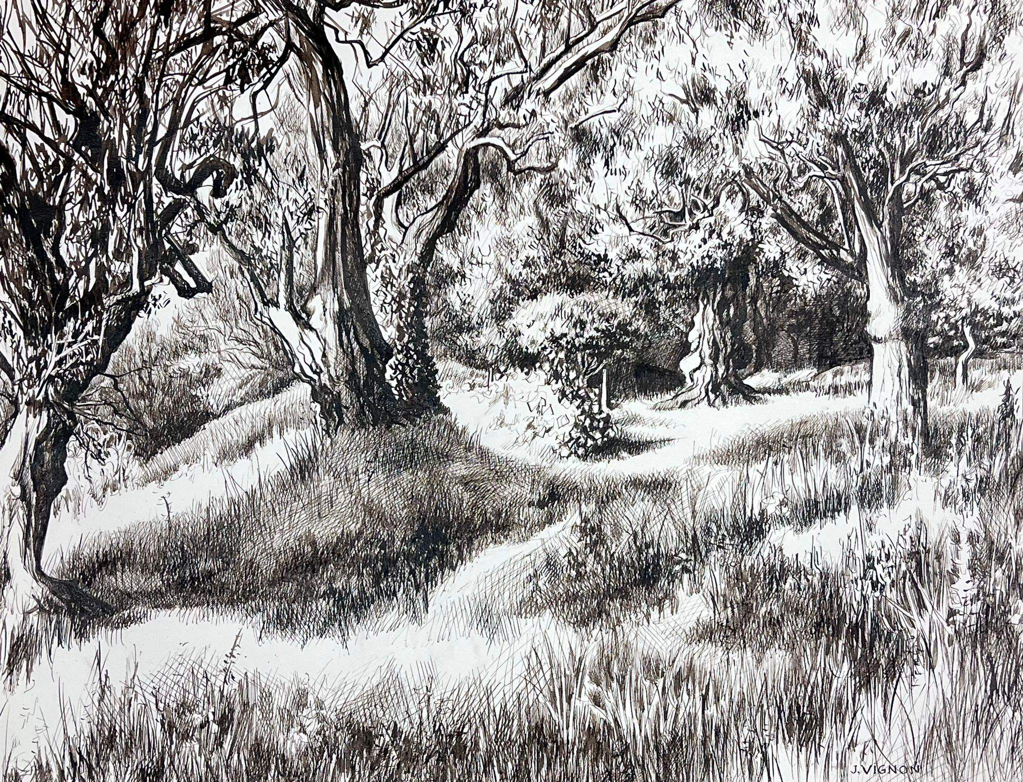 Josine Vignon Landscape Painting - 1950s Black & White Ink Drawing Olive Tree Renoirs Garden Cagnes Sur Mer