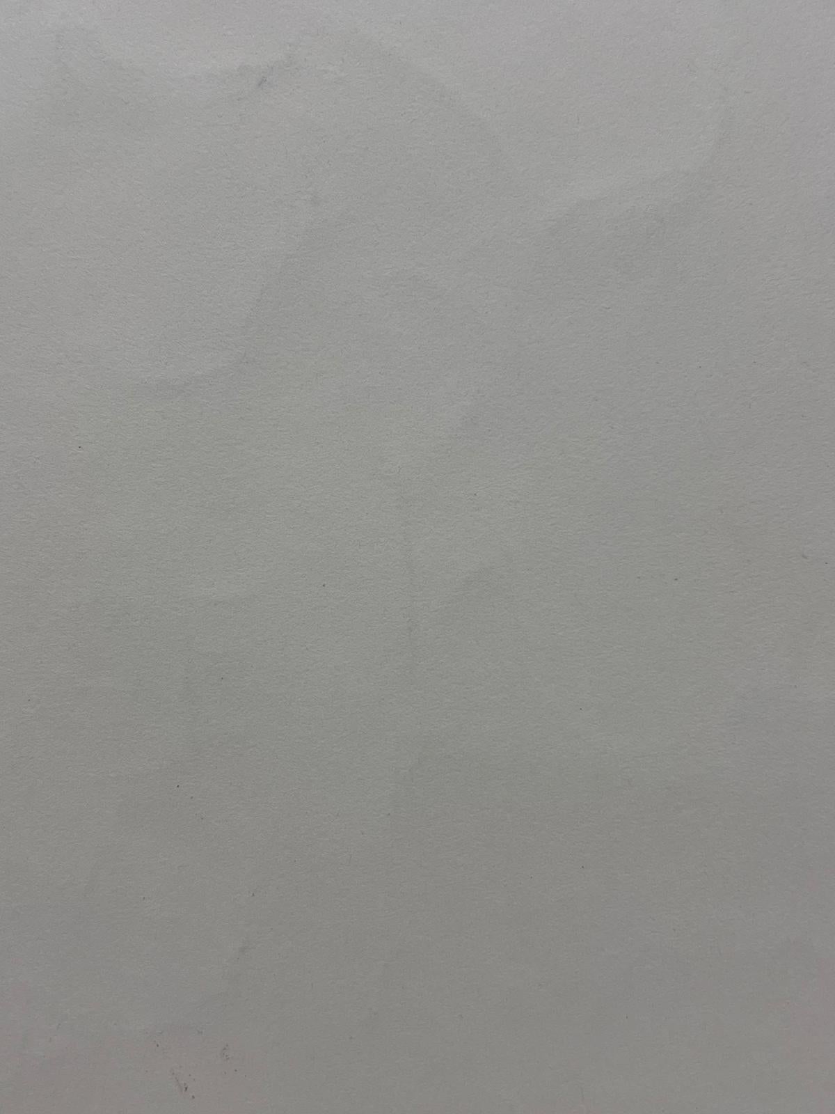 1950er Jahre Französisch Bold Mitte des Jahrhunderts Tinte Zeichnung einer dekorativen Innenszene im Angebot 1