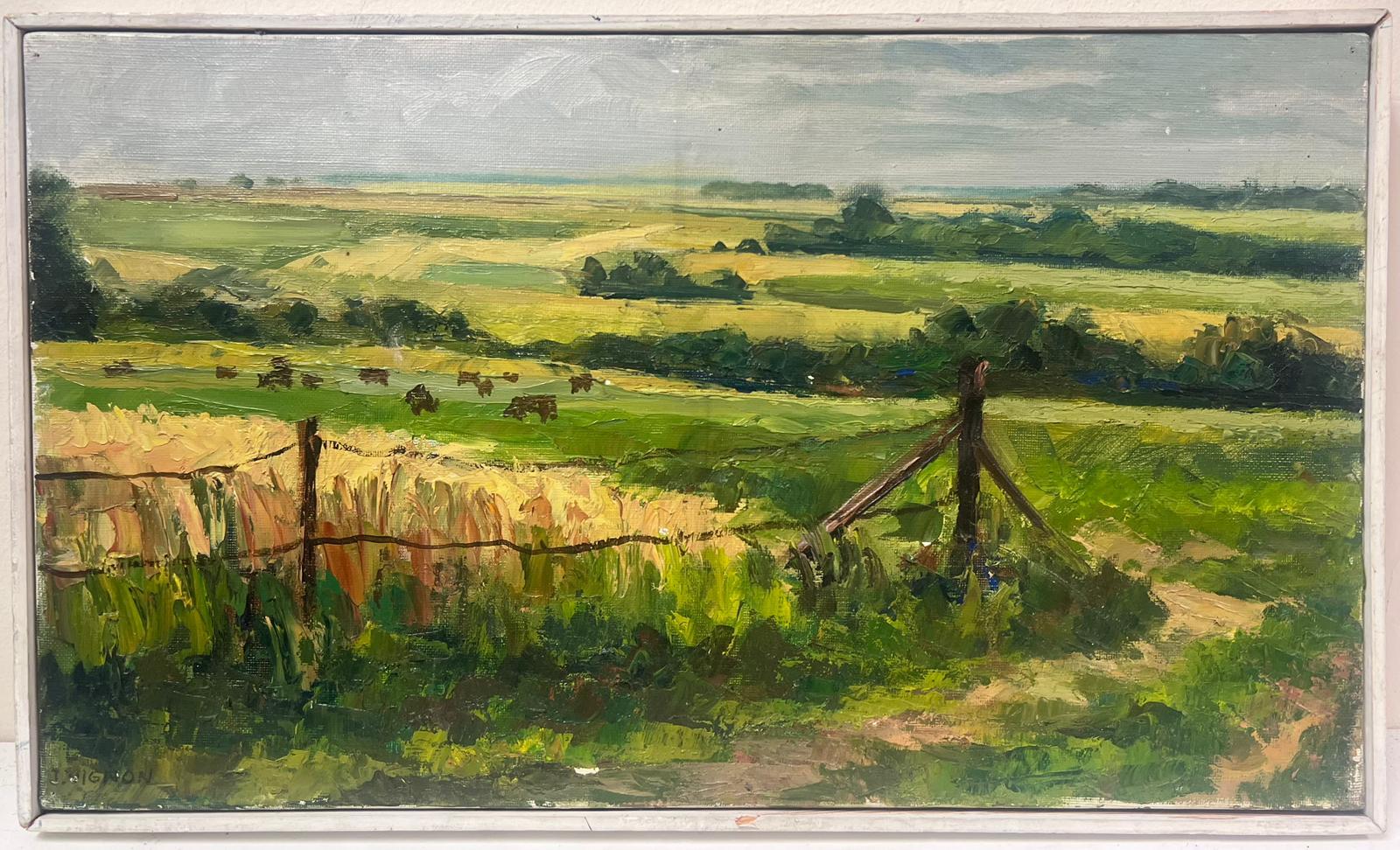 Französische Kühe Munching In Sommergrünem Feld, Öl-Landschaft, 1950er Jahre – Painting von Josine Vignon