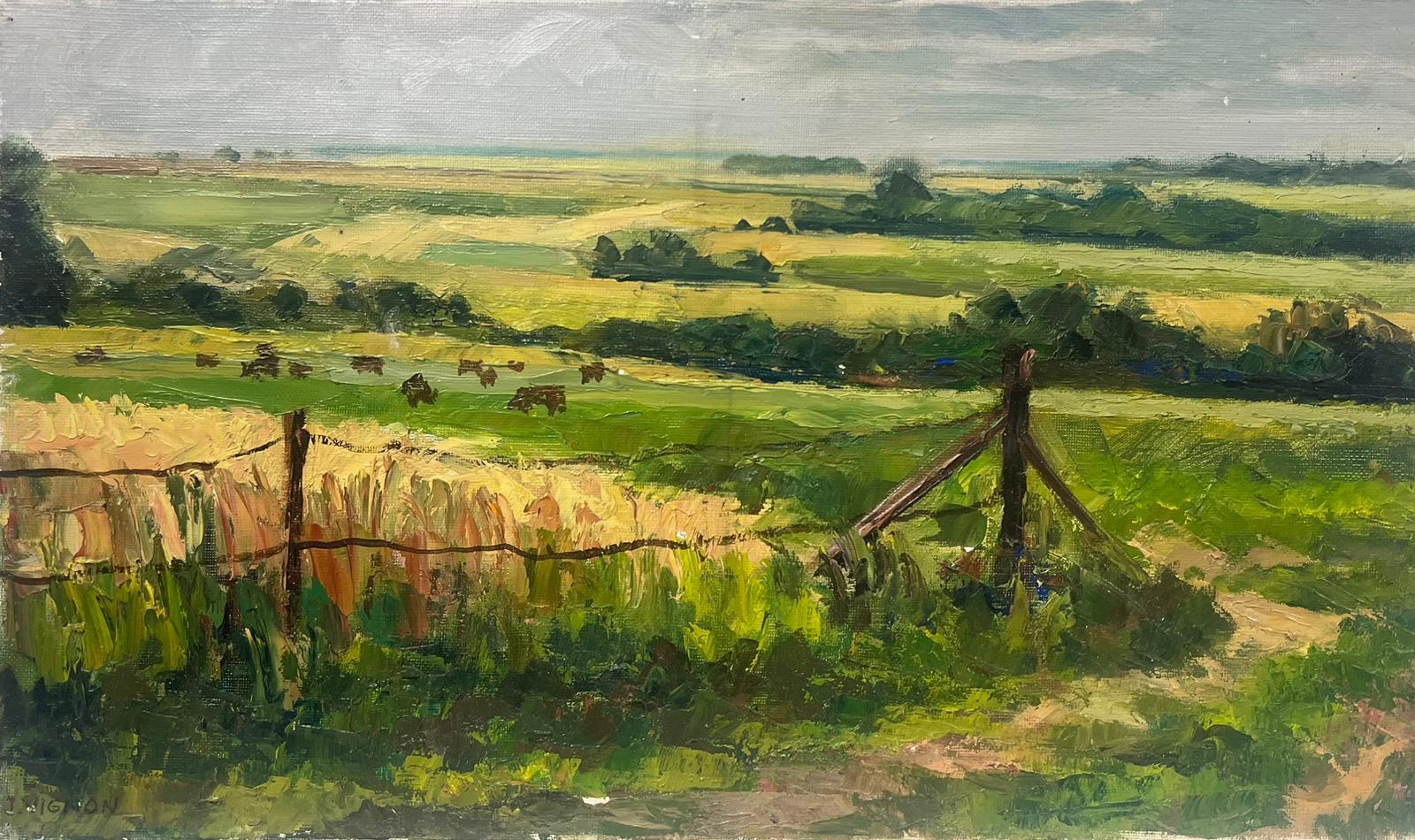 Josine Vignon Animal Painting – Französische Kühe Munching In Sommergrünem Feld, Öl-Landschaft, 1950er Jahre