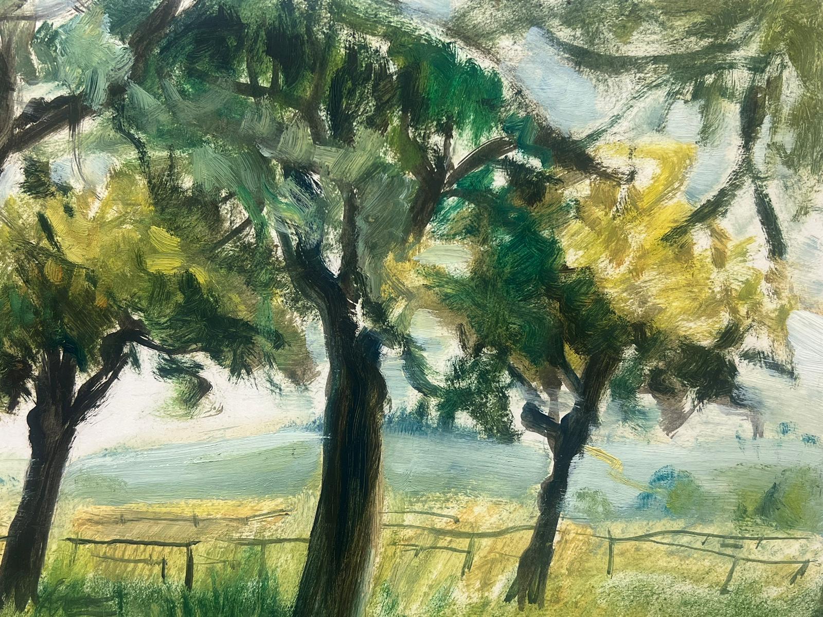 Französische Öl-Landschaft, 1950er Jahre, Bäume in grünem Gras, Landschaft (Impressionismus), Painting, von Josine Vignon