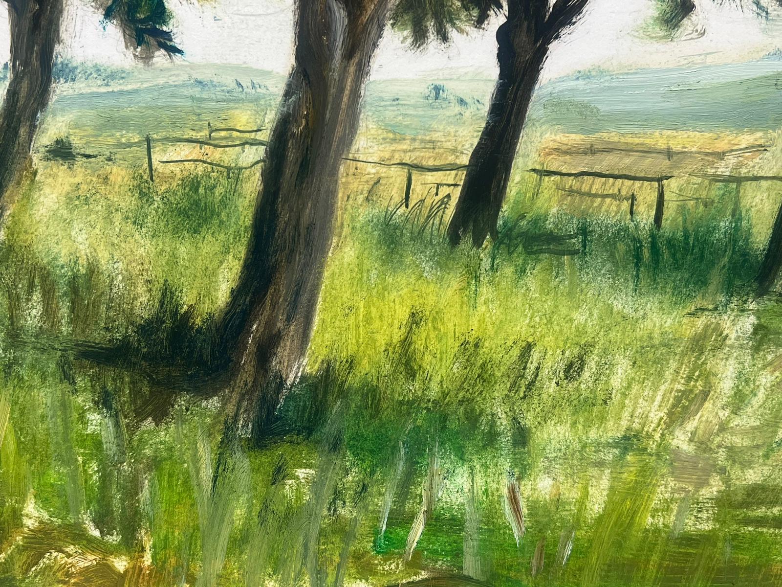 Französische Öl-Landschaft, 1950er Jahre, Bäume in grünem Gras, Landschaft (Grau), Landscape Painting, von Josine Vignon