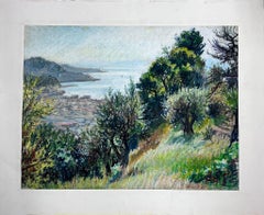 1950s French Post Impressionist Provencal Olive Grove Hill Seascape