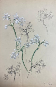 Aquarelle post-impressionniste française des années 1950 Illustration botanique